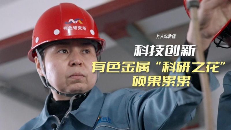 OA办公软件行业分类：揭秘企业协作的数字化基石